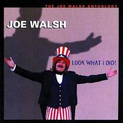 Joe Walsh : Look What I Did!